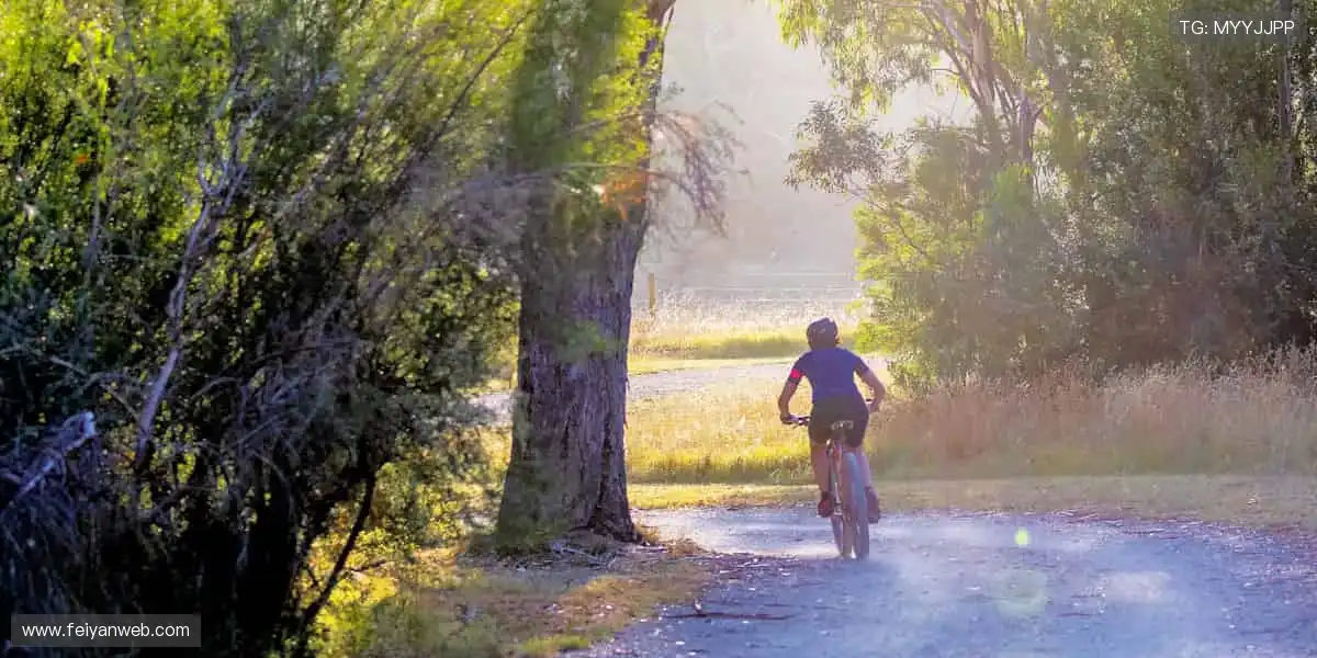🔥热血赛事,巅峰对决!一键购票,见证冠军诞生🏆